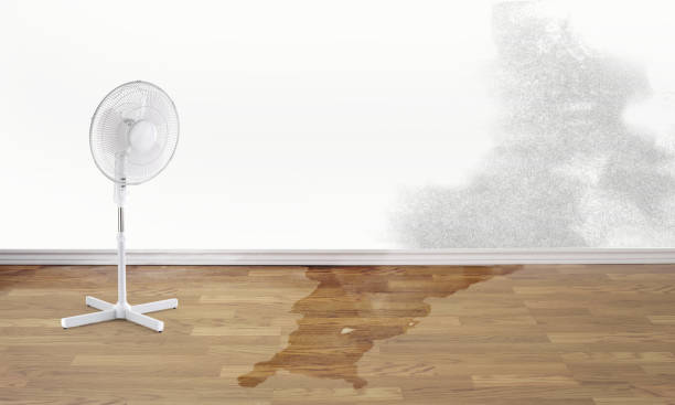 Best Commercial water damage restoration  in North Little Rock, AR
