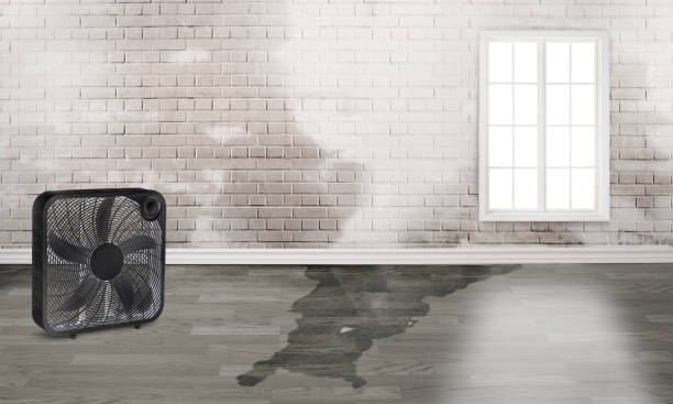 Professional Water damage restoration in North Little Rock, AR
